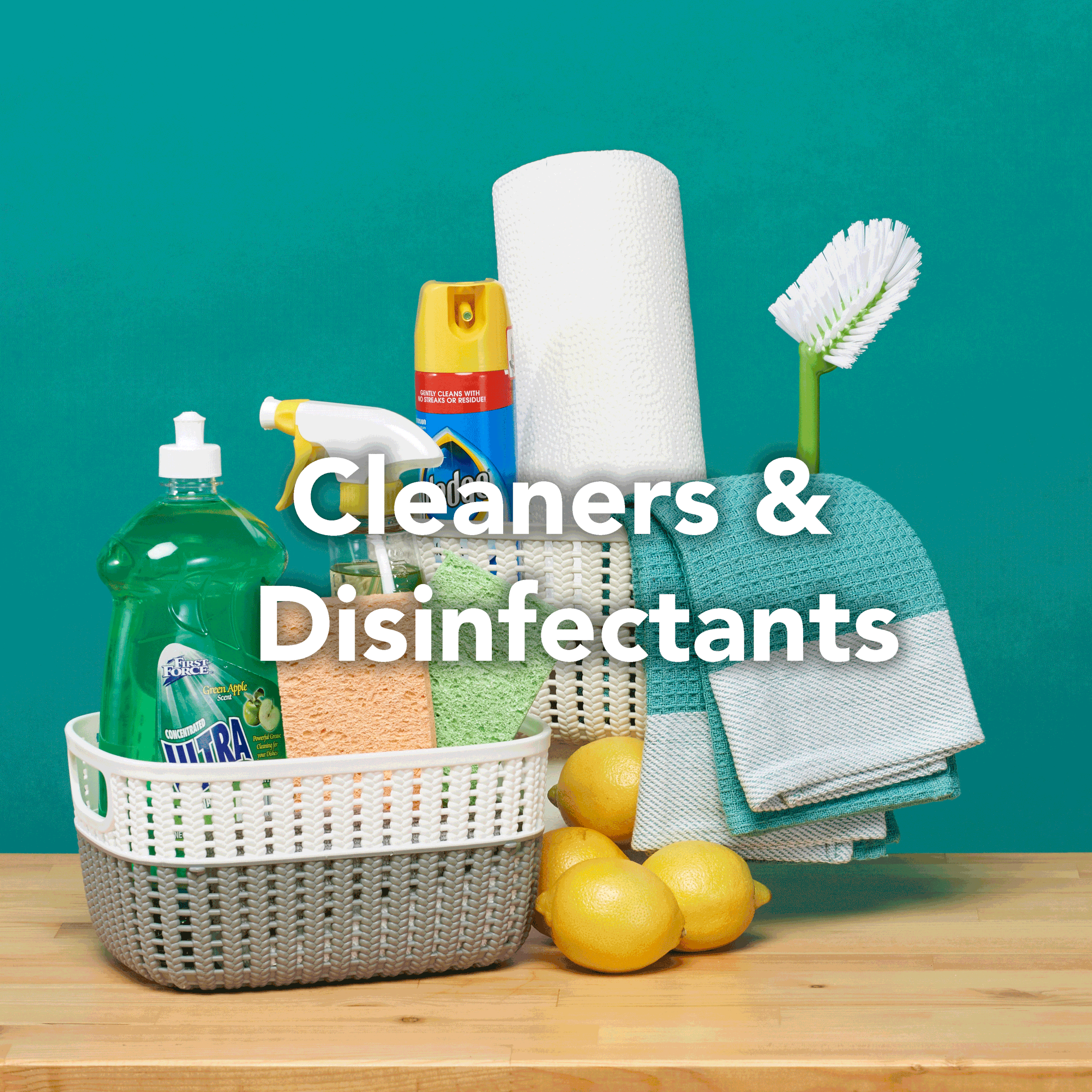 Discount Home Cleaning Supplies, Pantry Supplies, Essentials — Gabe's