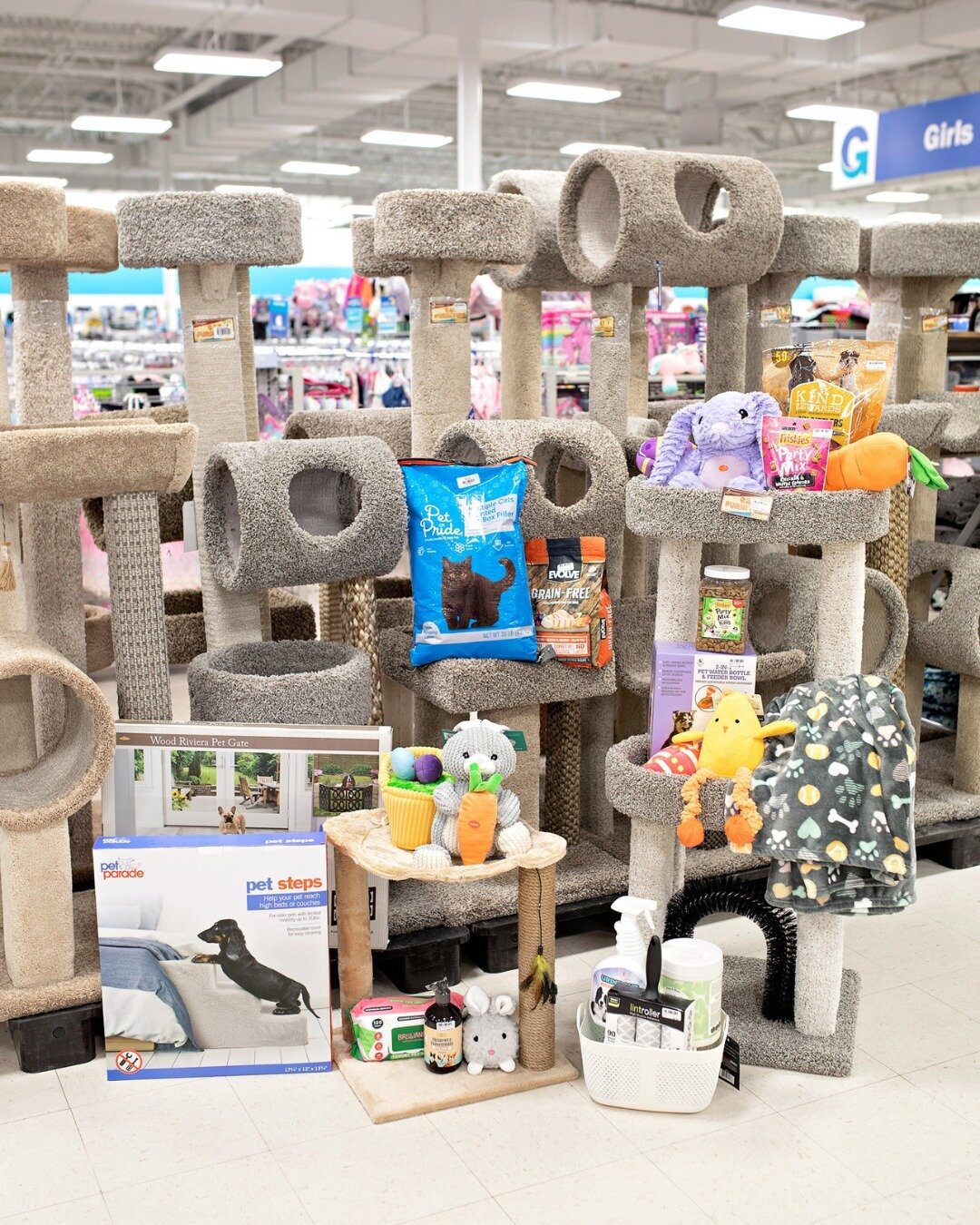 Zoomies: Activated. 🏎💨 Save on the toys they love &amp; the care essentials they need. 🐶🐱💙