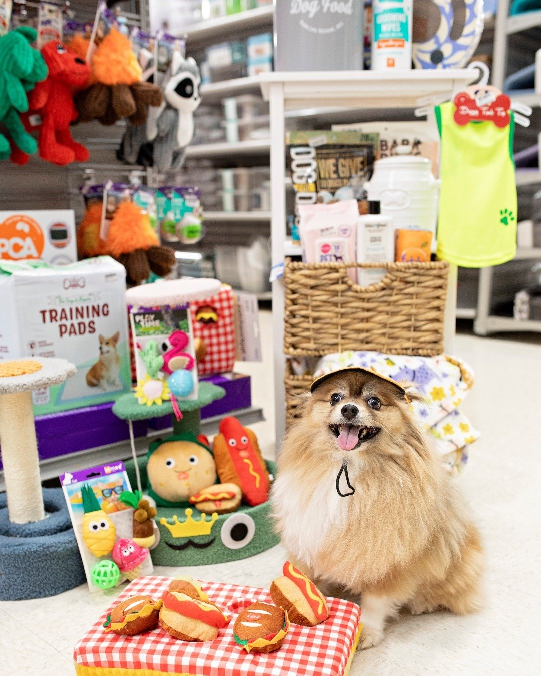 These deals: Pup-approved! 🐾 Fill your cart with five-paw finds for summertime. 🛒☀️