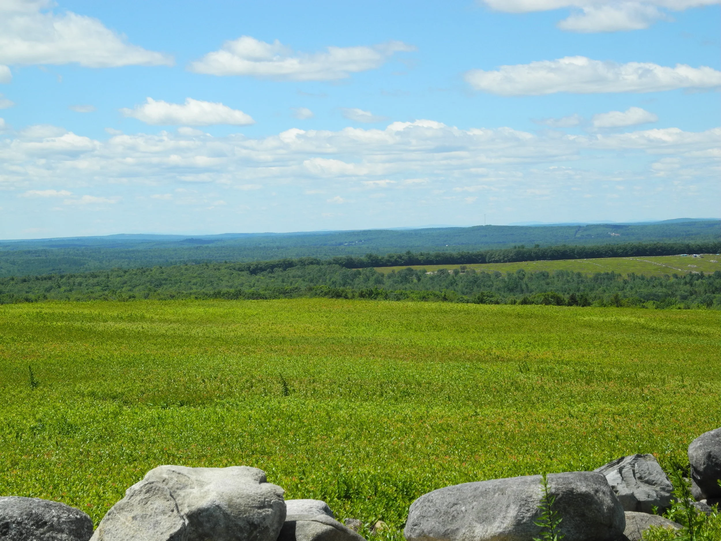 Individual Membership