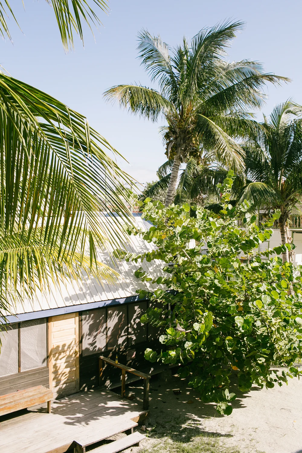   Home base in Caye Caulker  