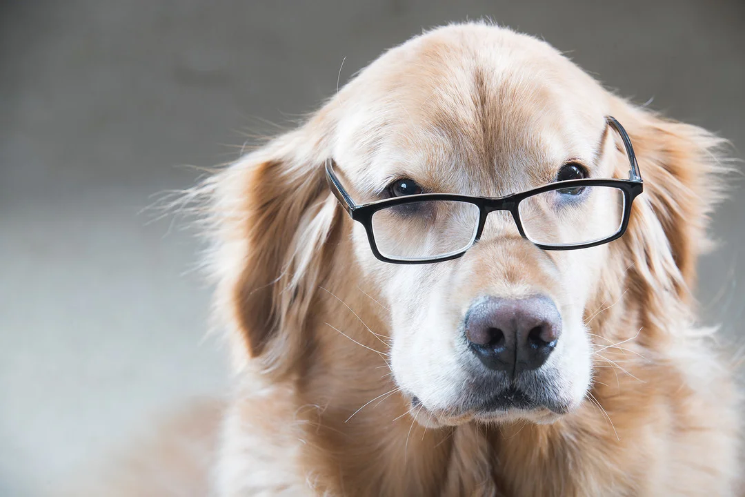 System Architecture Without Team Architecture is Pointless - Here’s How to Do it Right