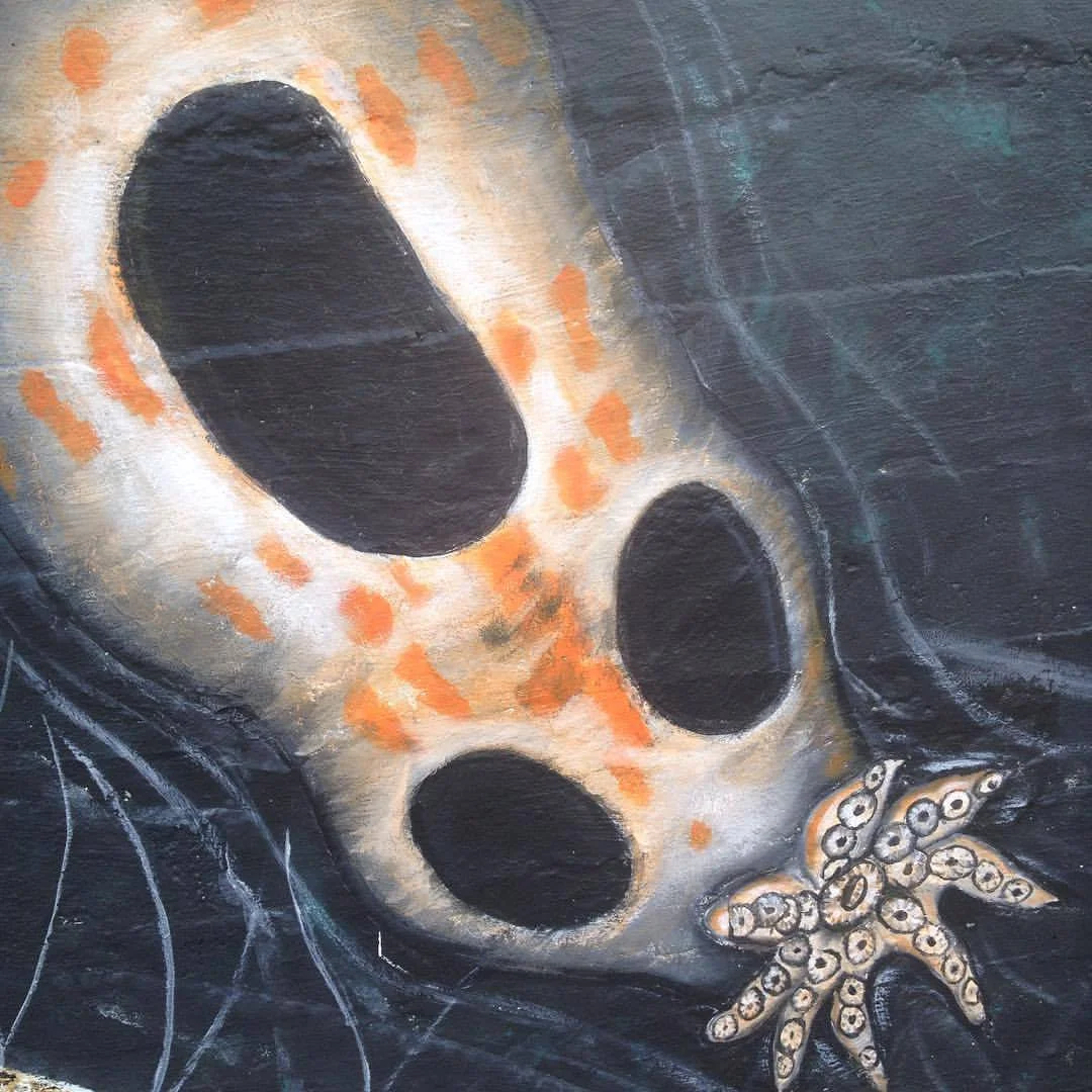 Octopus Larvae