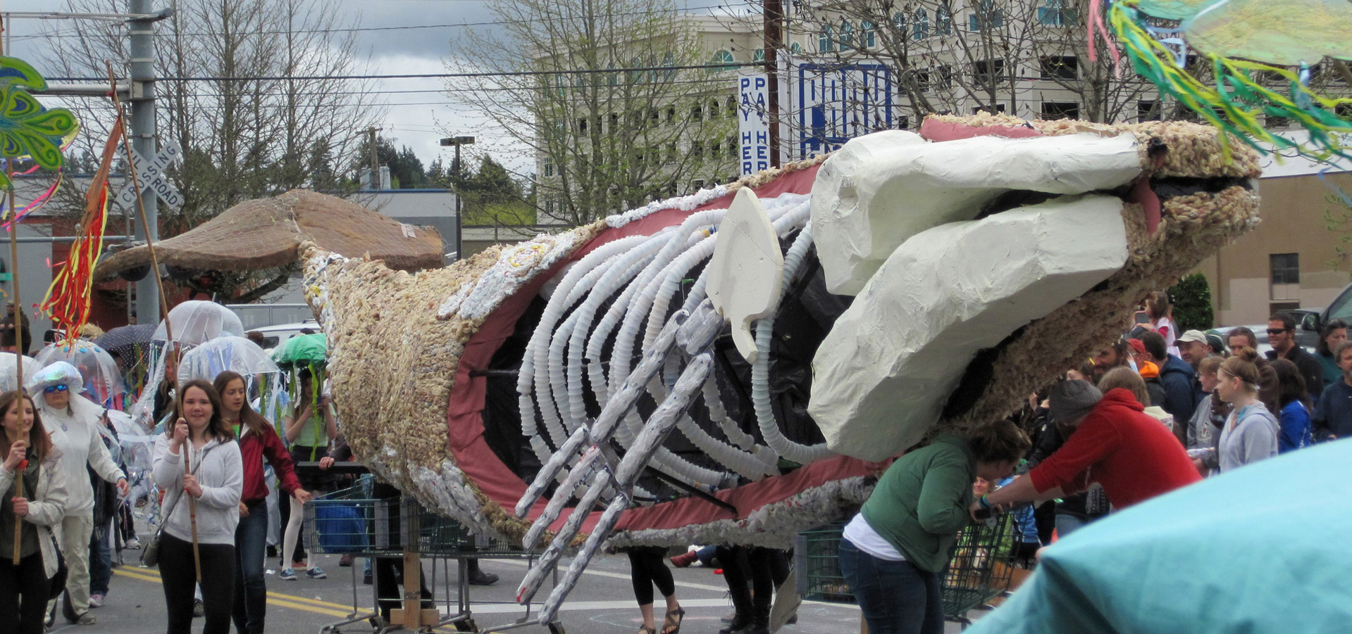 Plastic Whale Skeleton.jpg