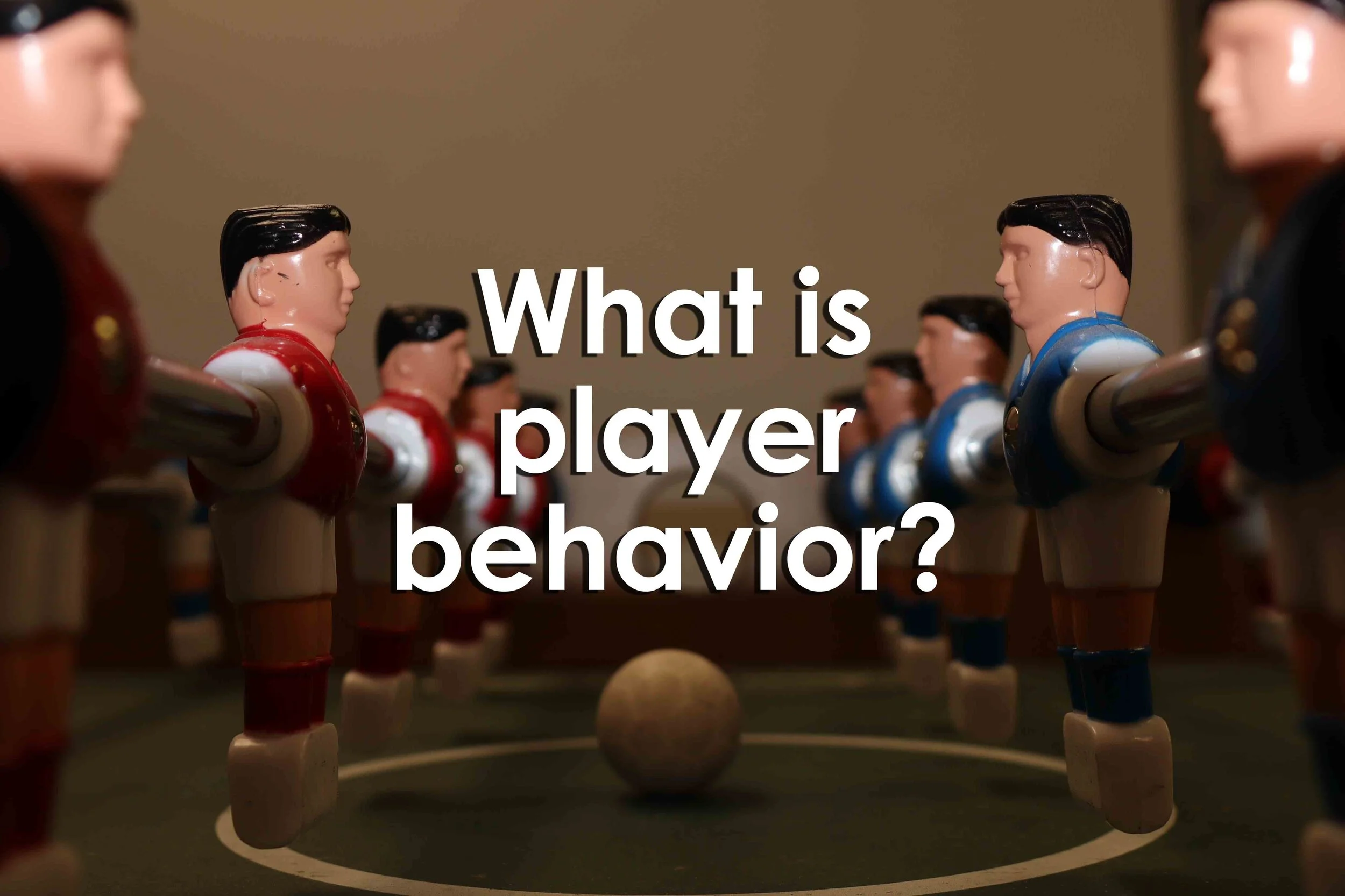What is player behavior?