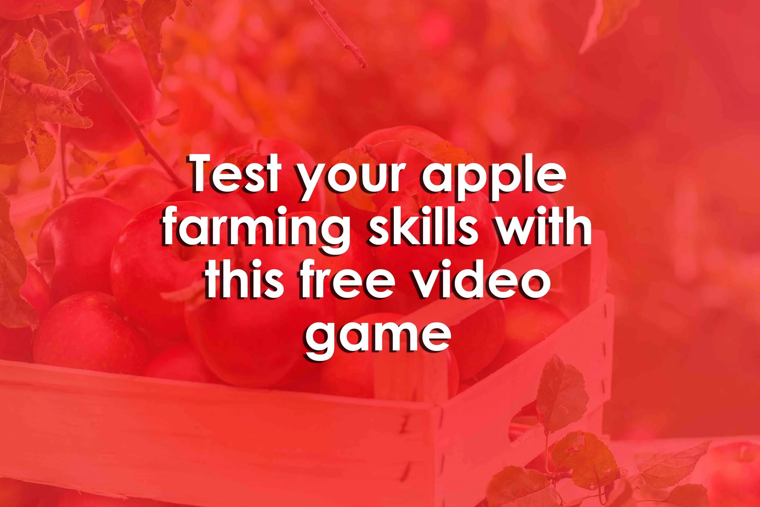 Test your apple farming skills with this free video game