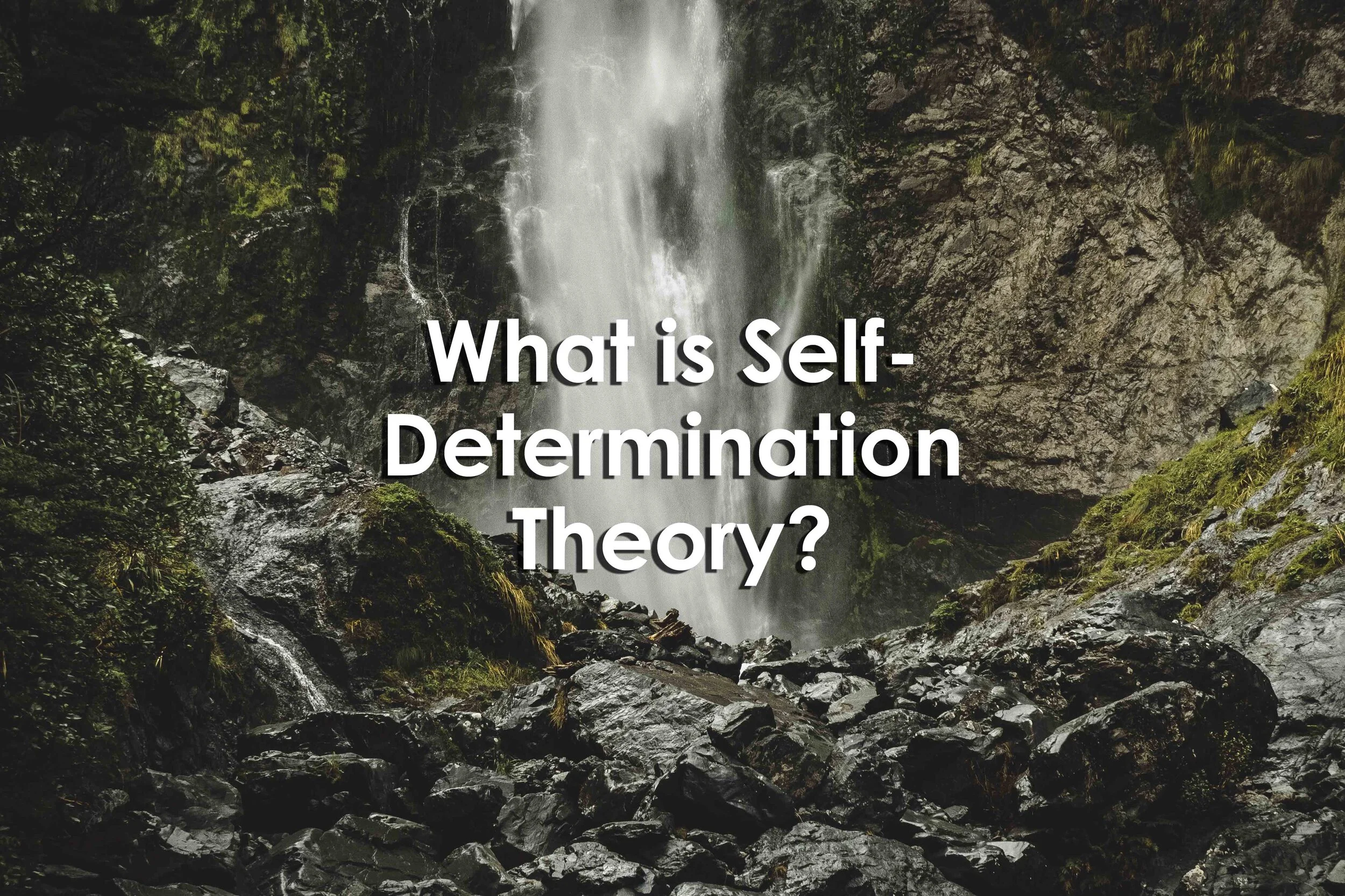 What is Self-Determination Theory?