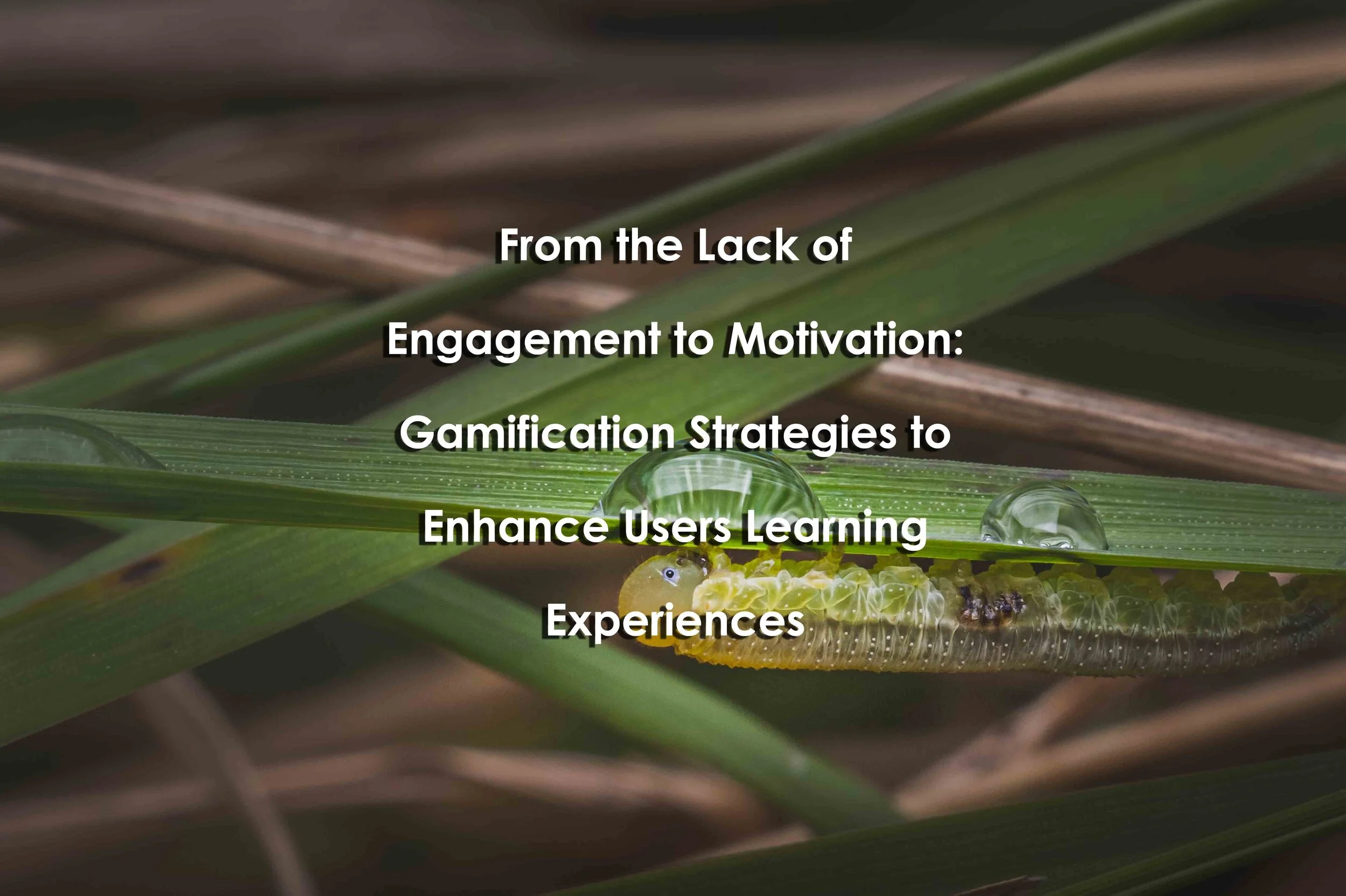 From the Lack of Engagement to Motivation: Gamification Strategies to Enhance Users Learning Experiences 