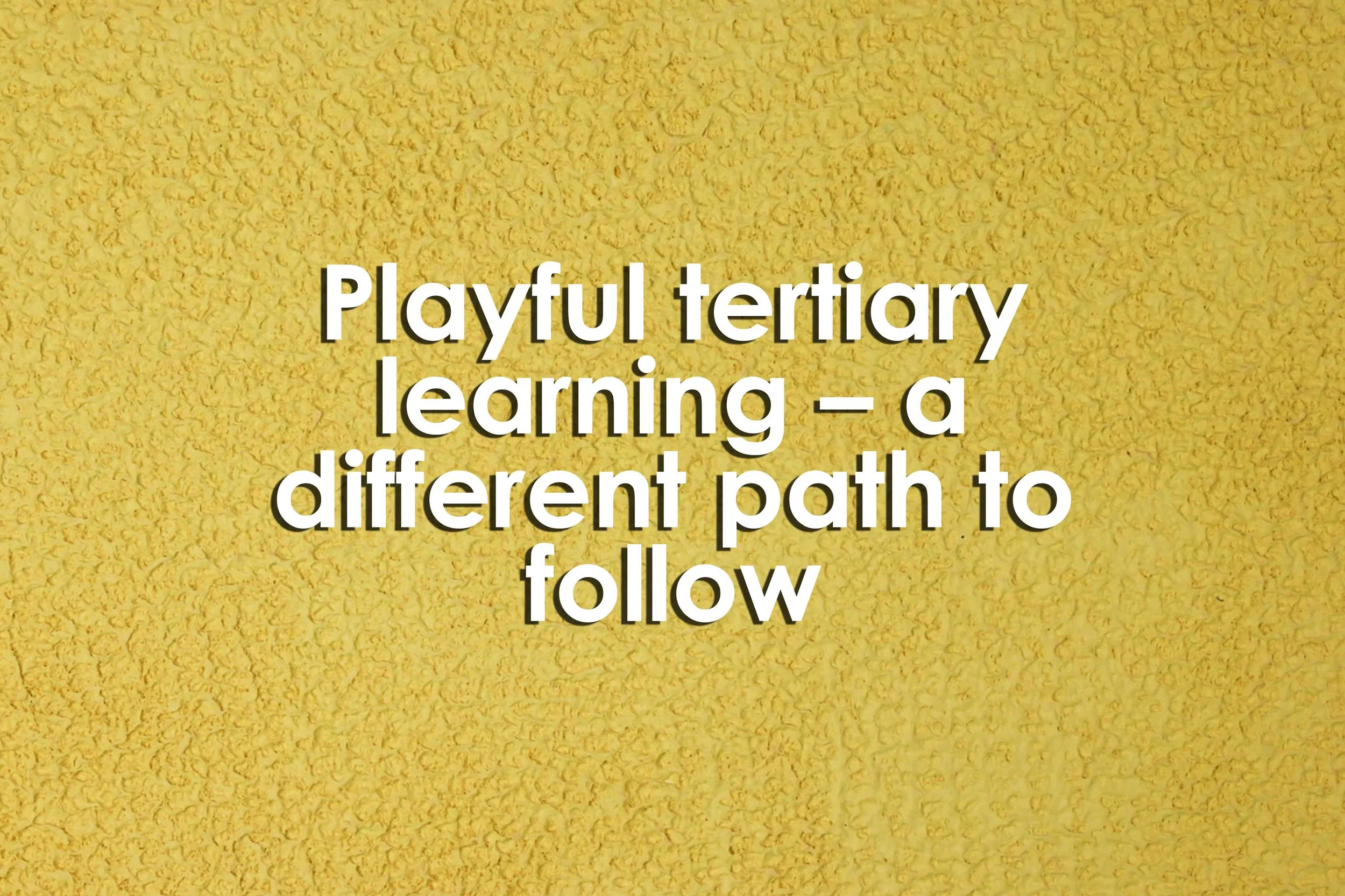 Playful tertiary learning – a different path to follow