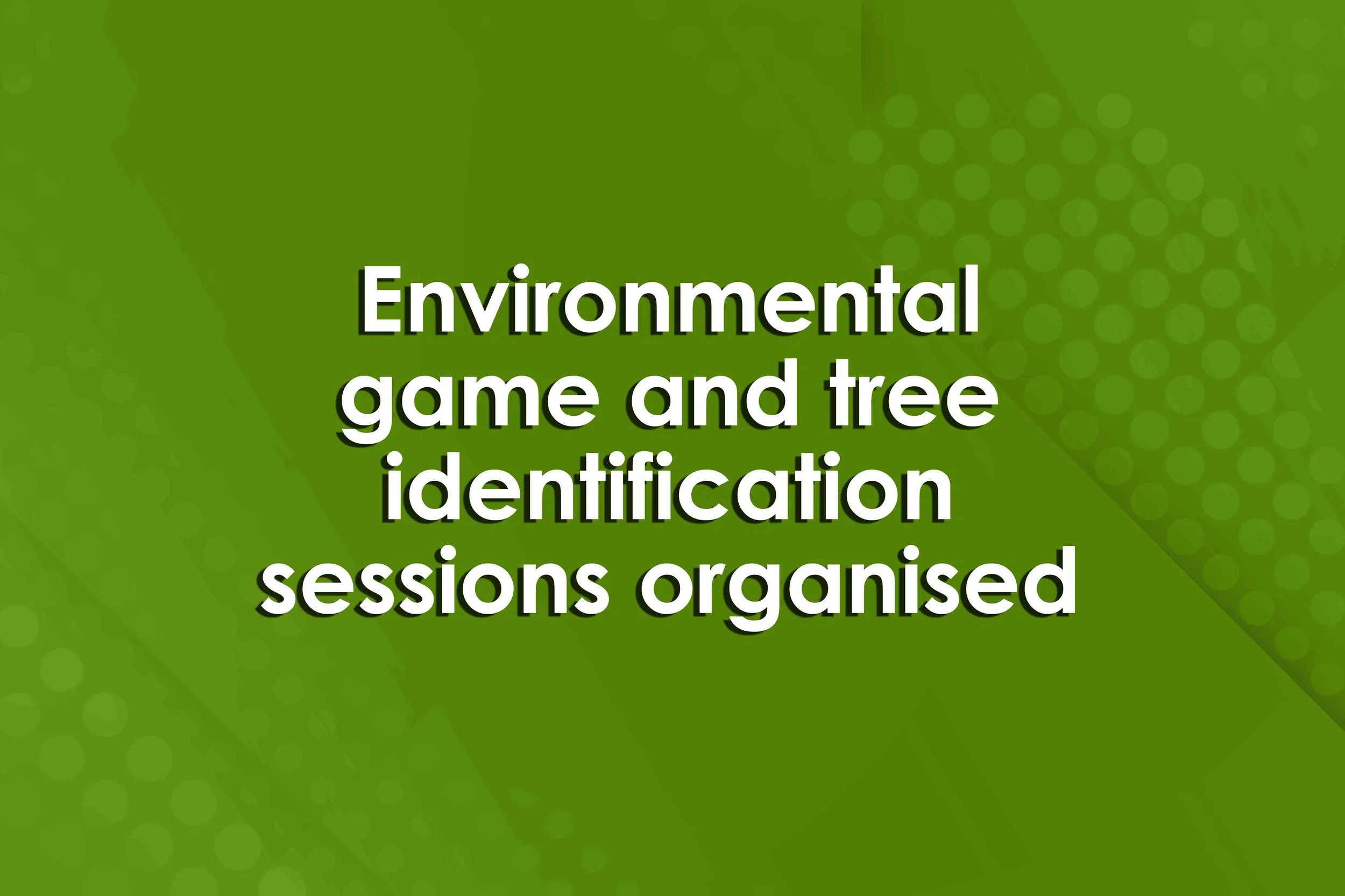 Environmental game and tree identification sessions organised
