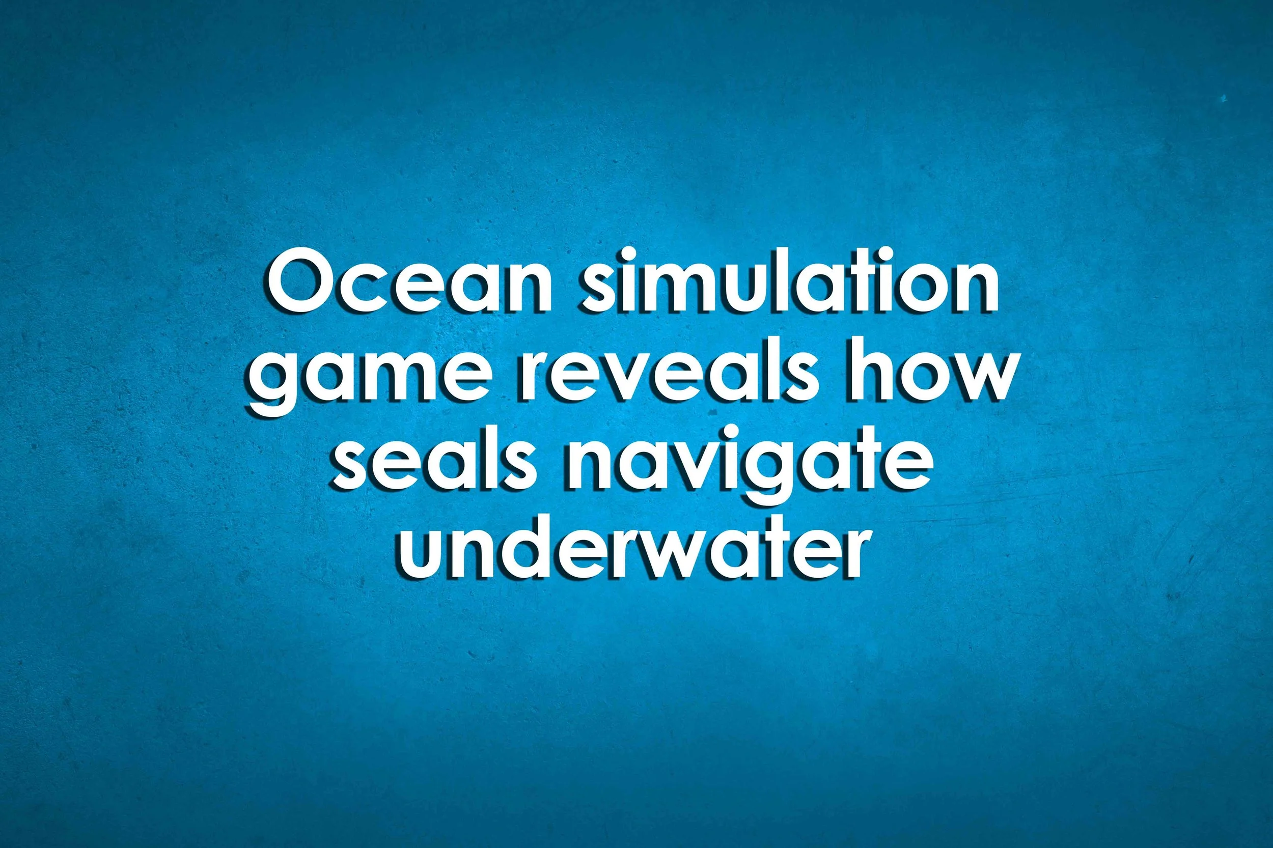 Ocean simulation game reveals how seals navigate underwater
