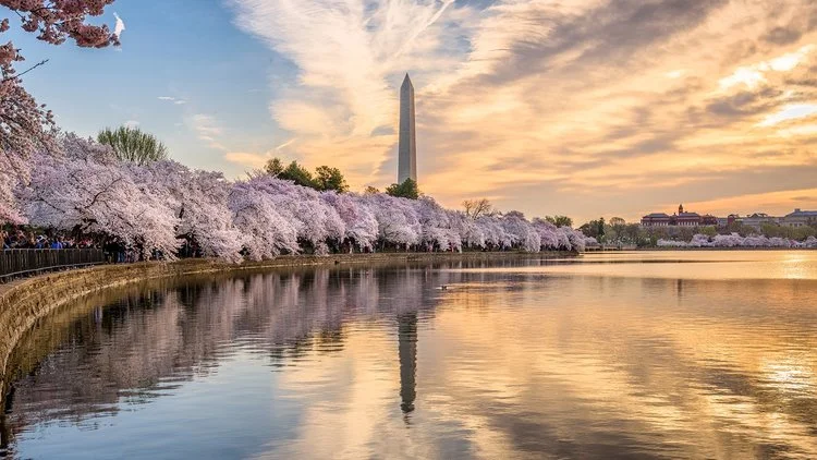 WashingtonDC_smaller.jpg