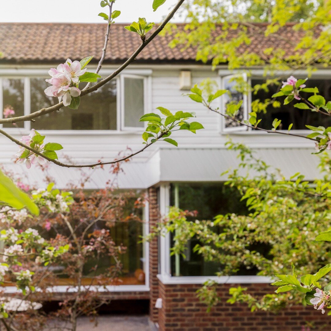 Huge congratulations @a_small_studio for being shortlisted for @dont.move.improve 2023 with this sensitively renovated mid century home on the Dulwich Estate. 
The garden was designed to provide a link from the extended kitchen to the woodland beyond