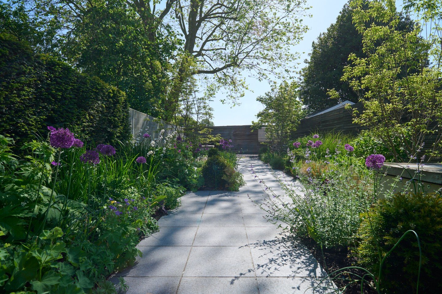 Springtime images from an ongoing project in Dulwich Village now up on the website, link in the bio. 

Thanks @provendernurseries for the plant supply