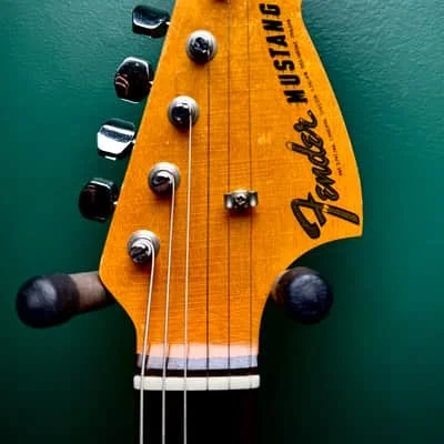 duo-stang-02.jpg