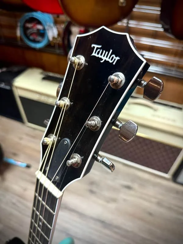 taylor-t5-3.jpg