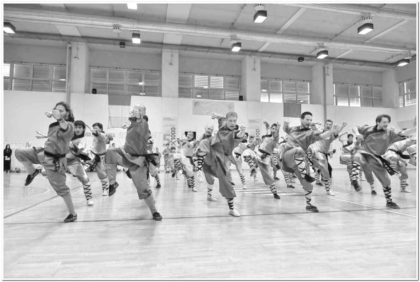 Corsi Shaolin Kung Fu e Sanda