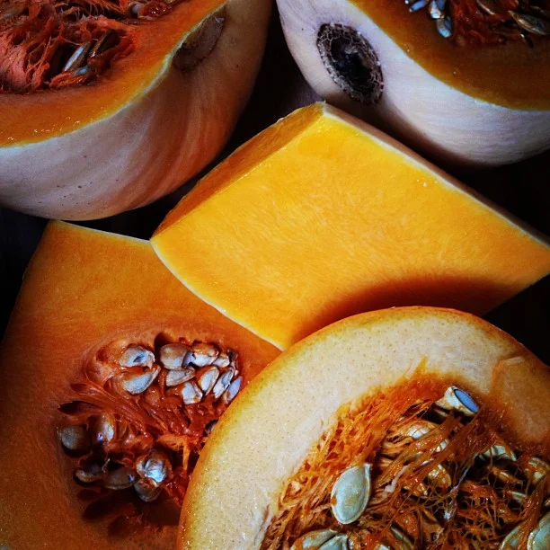 pumpkins & squash