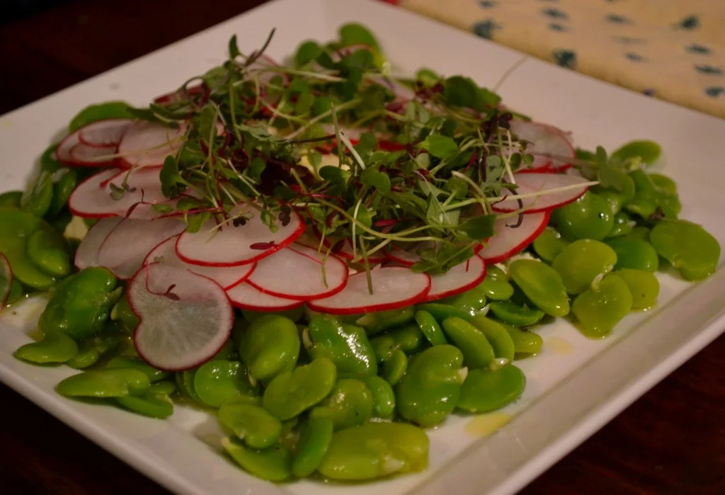 kitchen2radishfavas