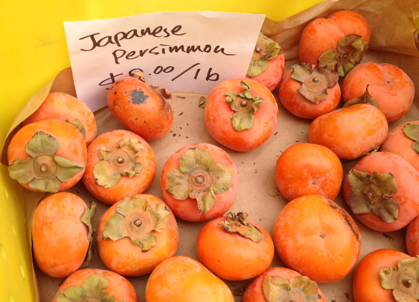 Harvest1Persimmons.jpg