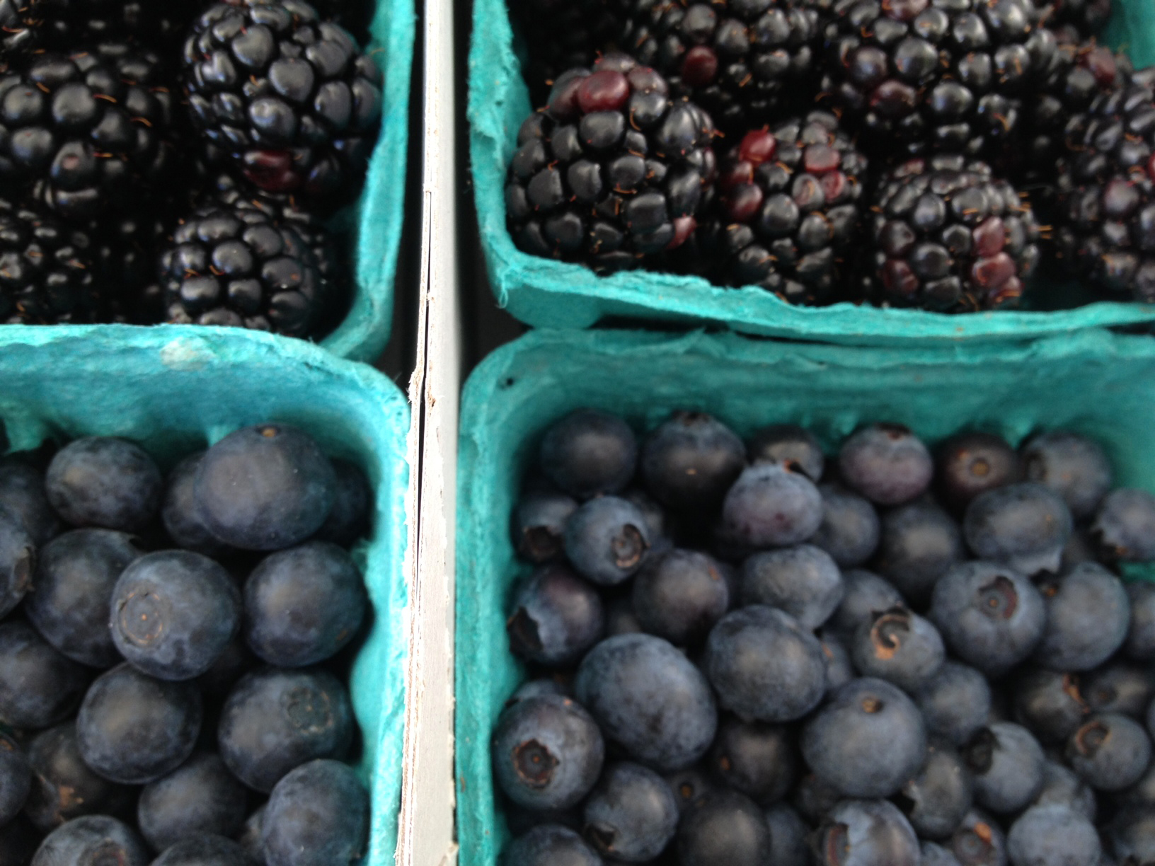 Harvest2berries.jpg