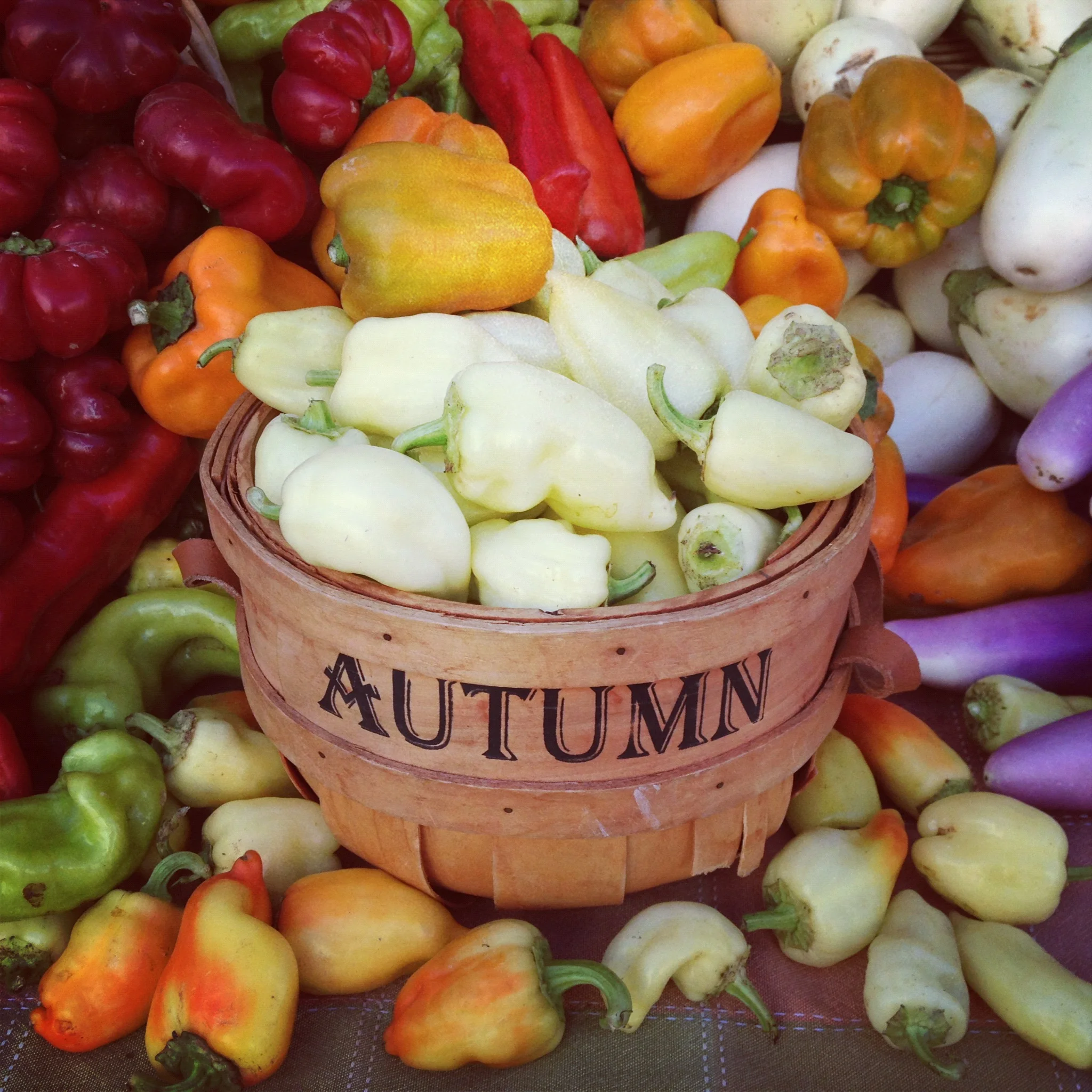HarvestAutumn