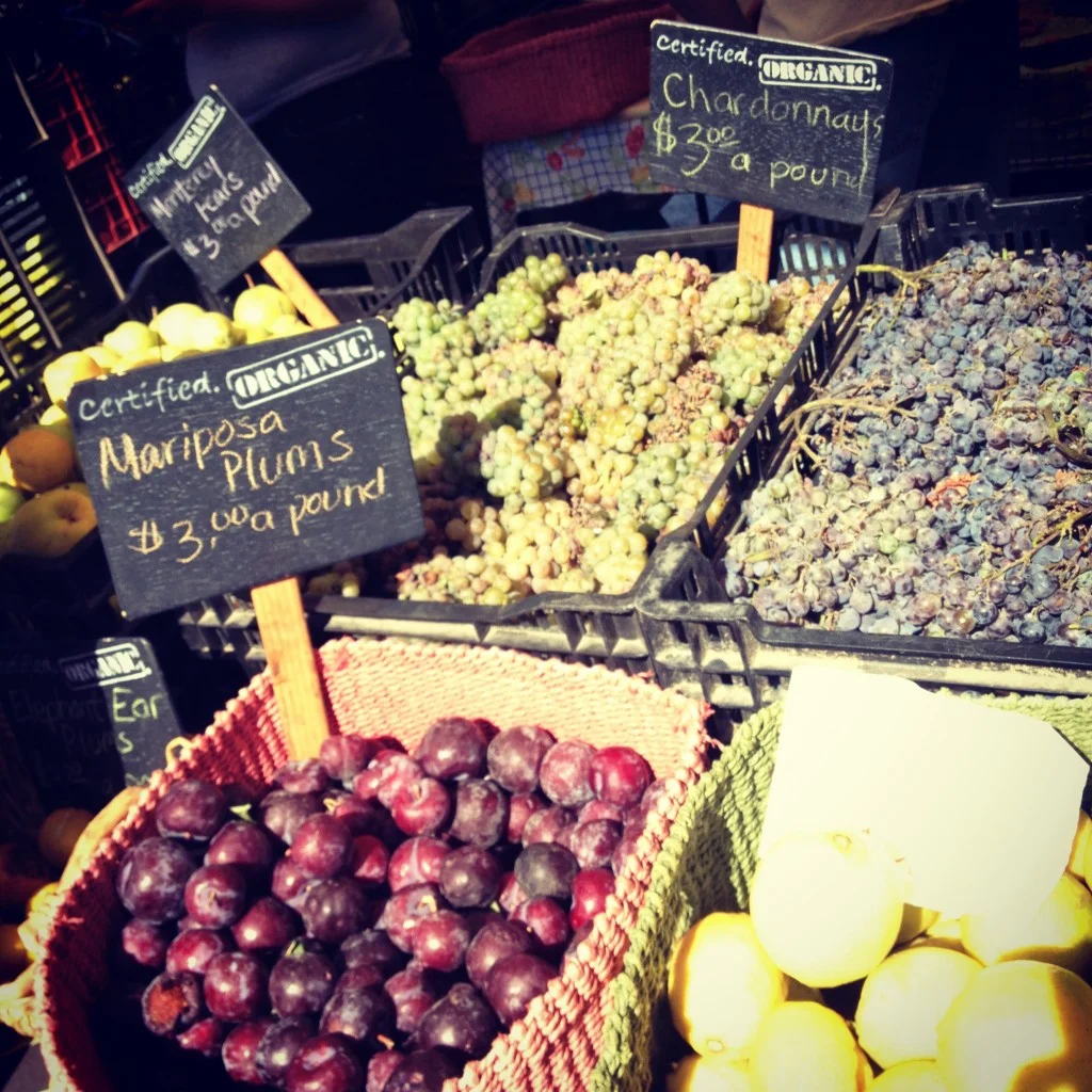 HarvestBaskets-1024x1024.jpg