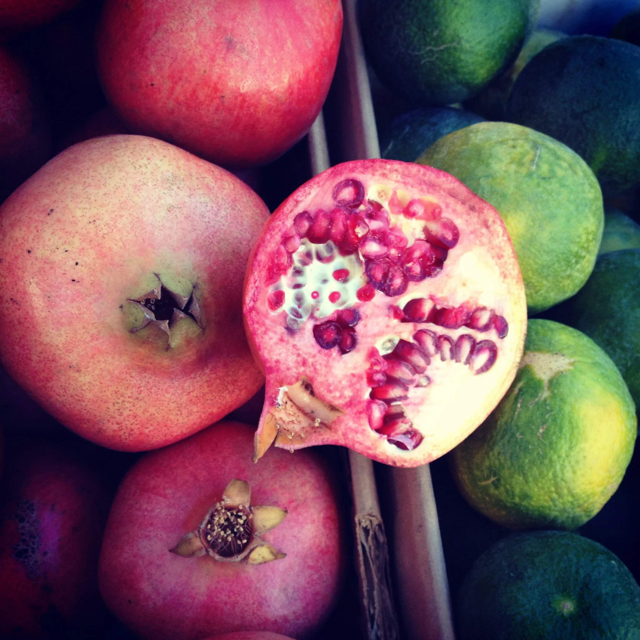 HarvestPomegranate.jpg