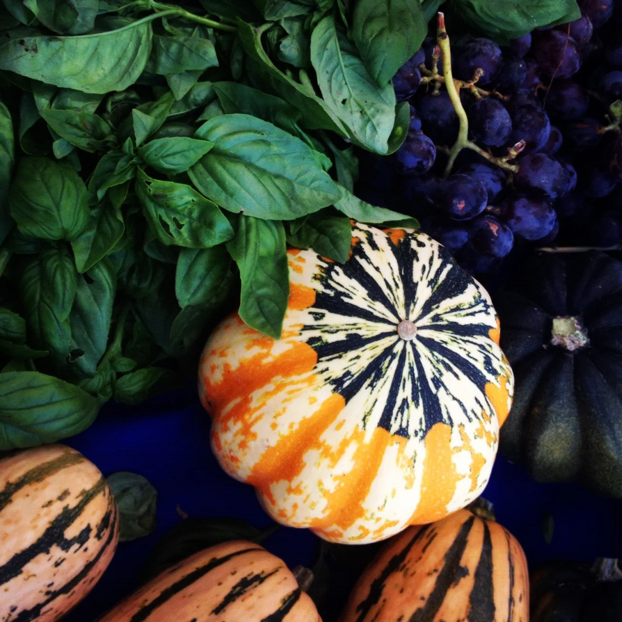 fallproduce.jpg