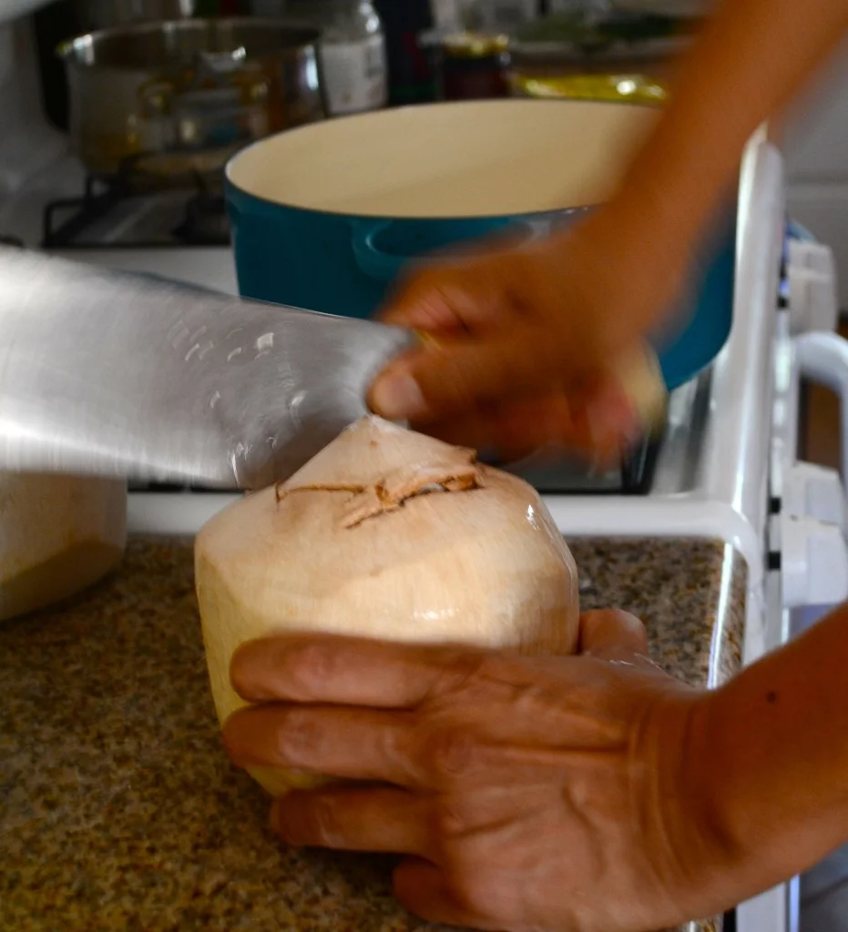 ThaiCurrySoupCoconutOpen-931x1024.jpg