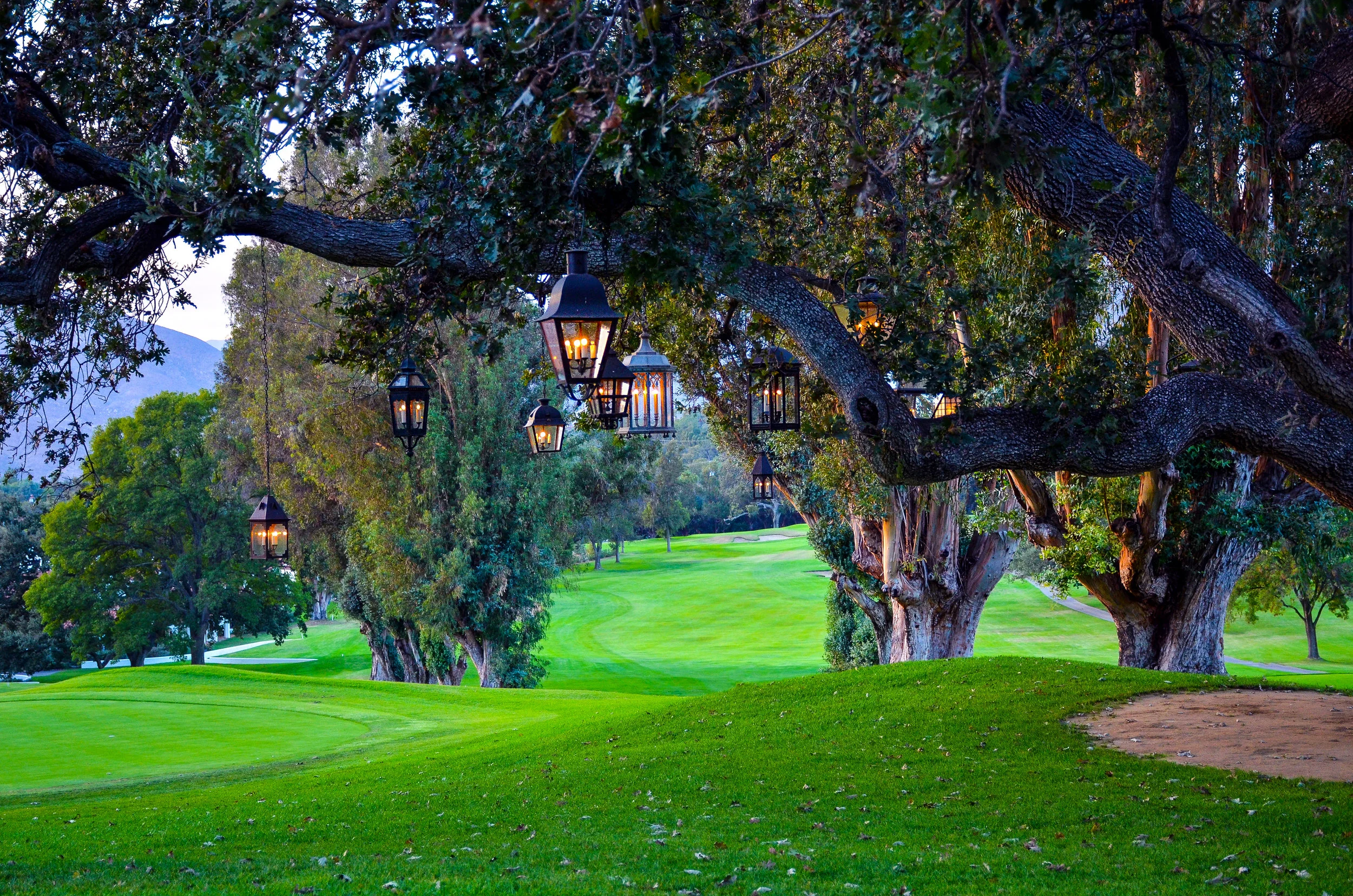 Ojai-Valley-Inn-Oak-Tree-2.jpg