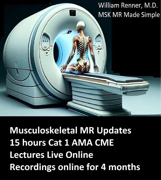 msk  as pic 2b.jpg