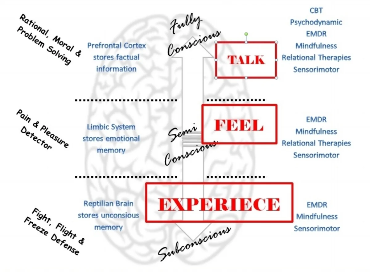 Good therapy goes beyond just talk. Good therapy reaches all levels of the brain and consciousness. Image adopted from Ogden & Fisher, 2015.