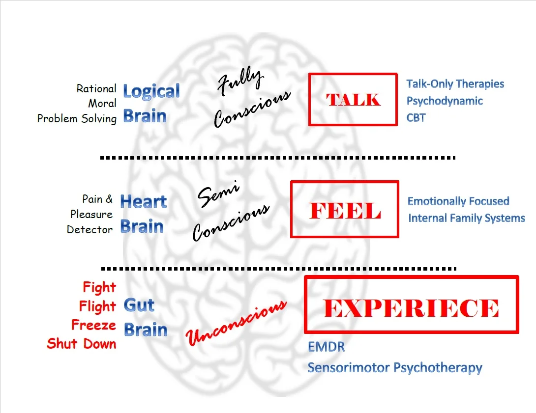 Good therapy goes beyond just talk. Good therapy reaches all levels of the brain and consciousness. Image adapted from Ogden & Fisher, 2015.