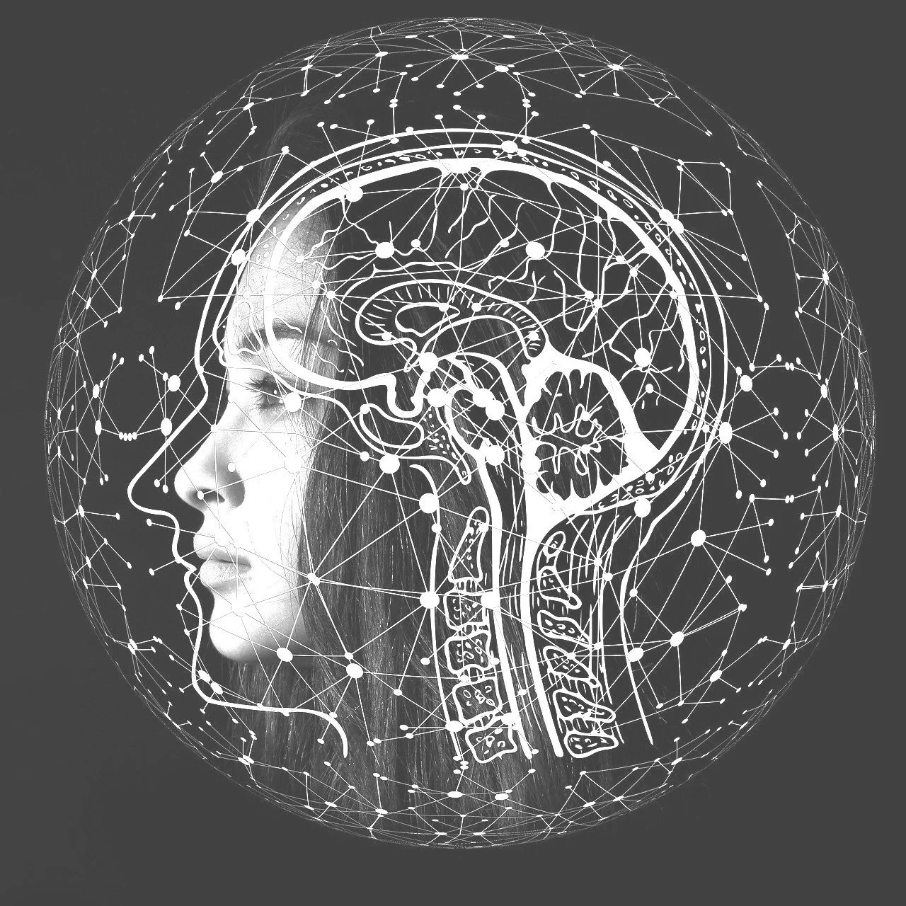 artificial-intelligence-4389372_1920.jpg