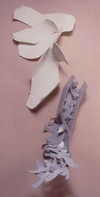 516.JPG