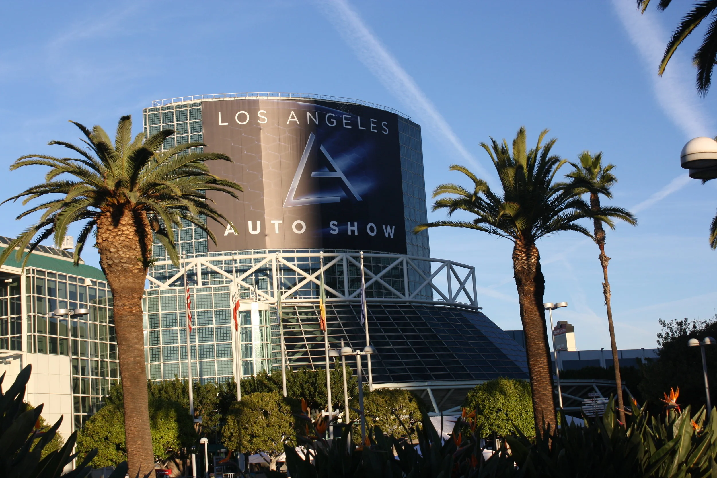 IMG_1320.JPG