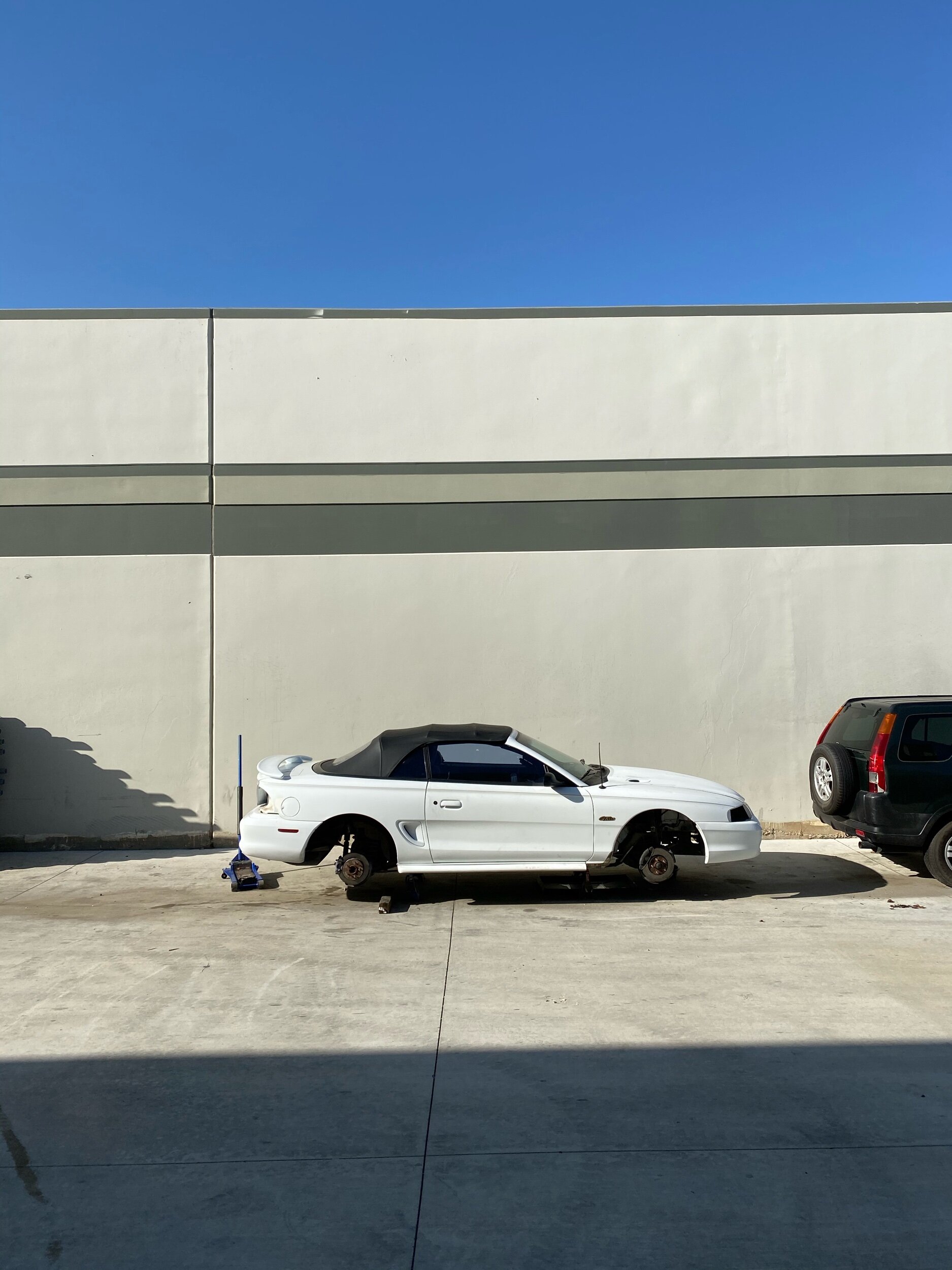 IMG_8796.jpeg