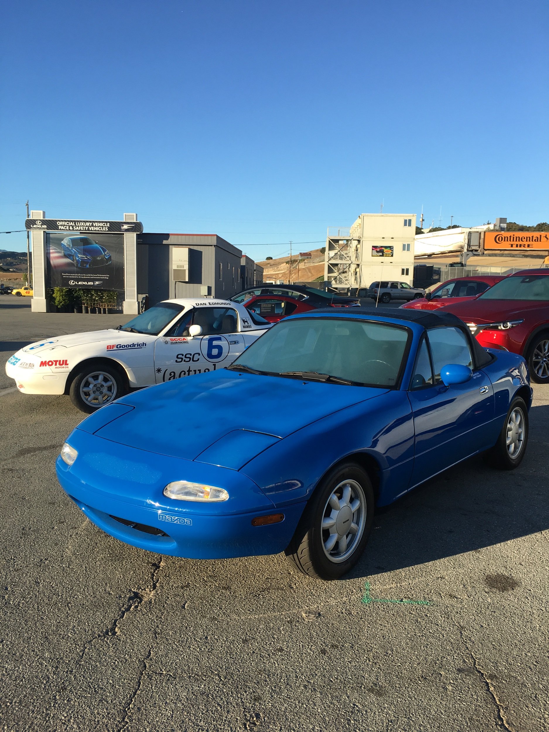 IMG_2526.jpeg