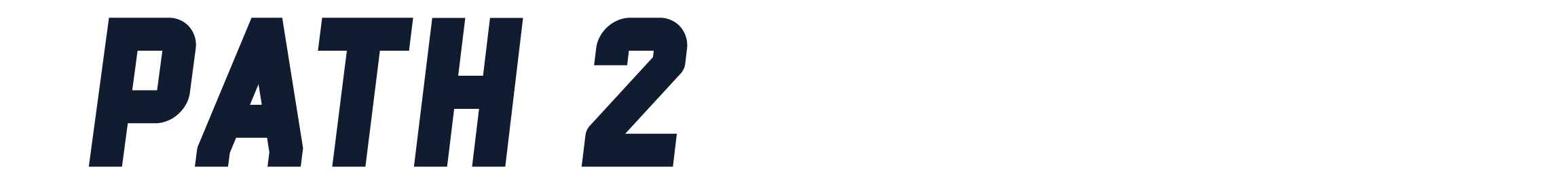 Path2Perfect_white.png