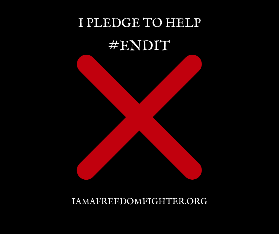 FF_Pledge Pin.png