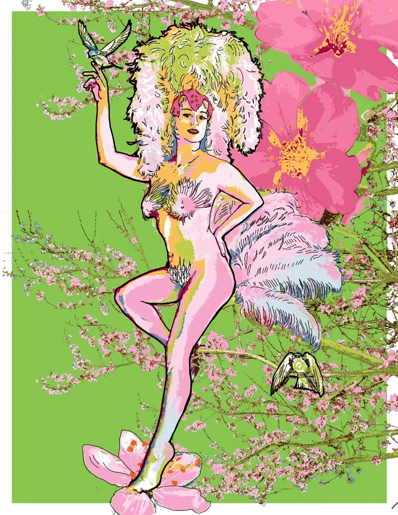 Illustrations