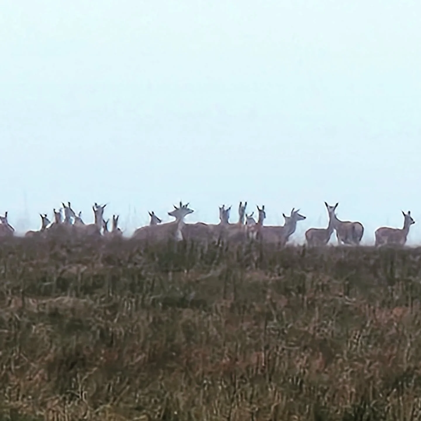 Fell in a bog and not one of these gits offered to help.