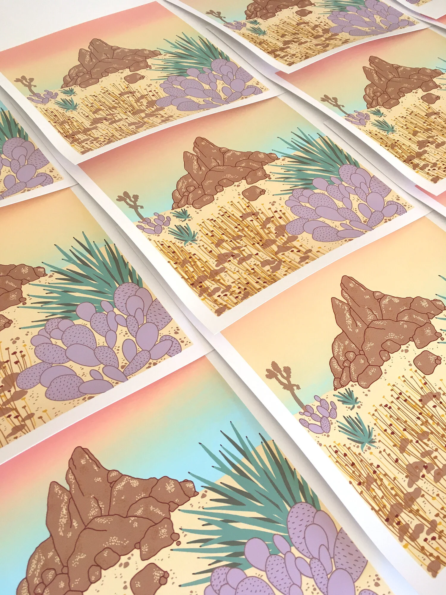 JoshuaTree_ClaudiaBorfiga6.JPG