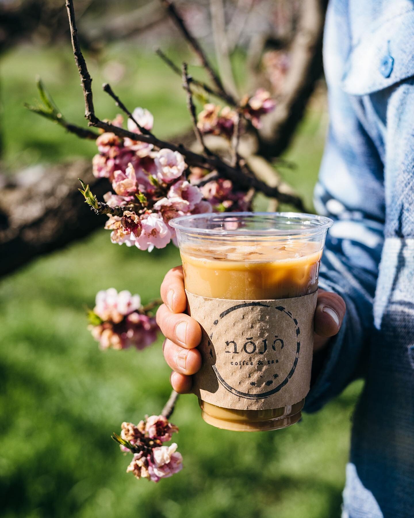 Spring is in the air at @chinofarms with @hellonojo coffee in hand. Check them out in Rancho Santa Fe.