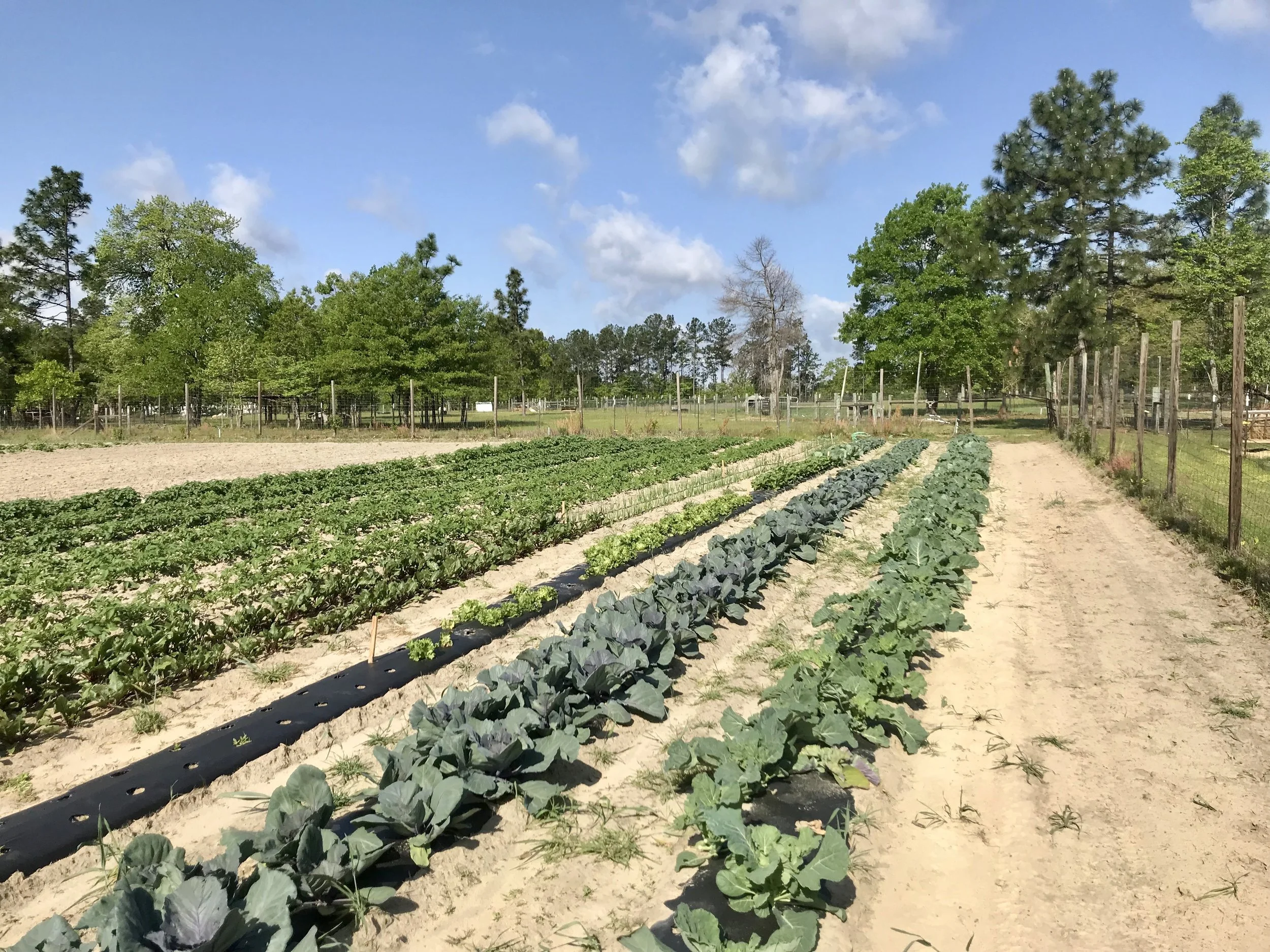 Farm Bill Updates: USDA Risk Management Agency