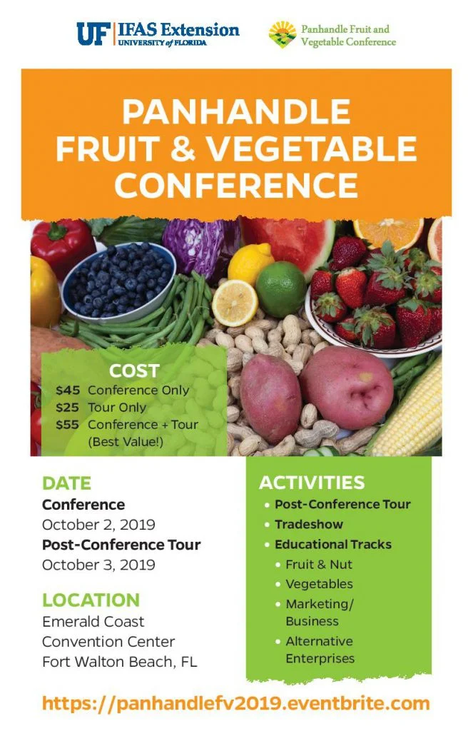 Panhandle-FV-2019-Flyer.jpg