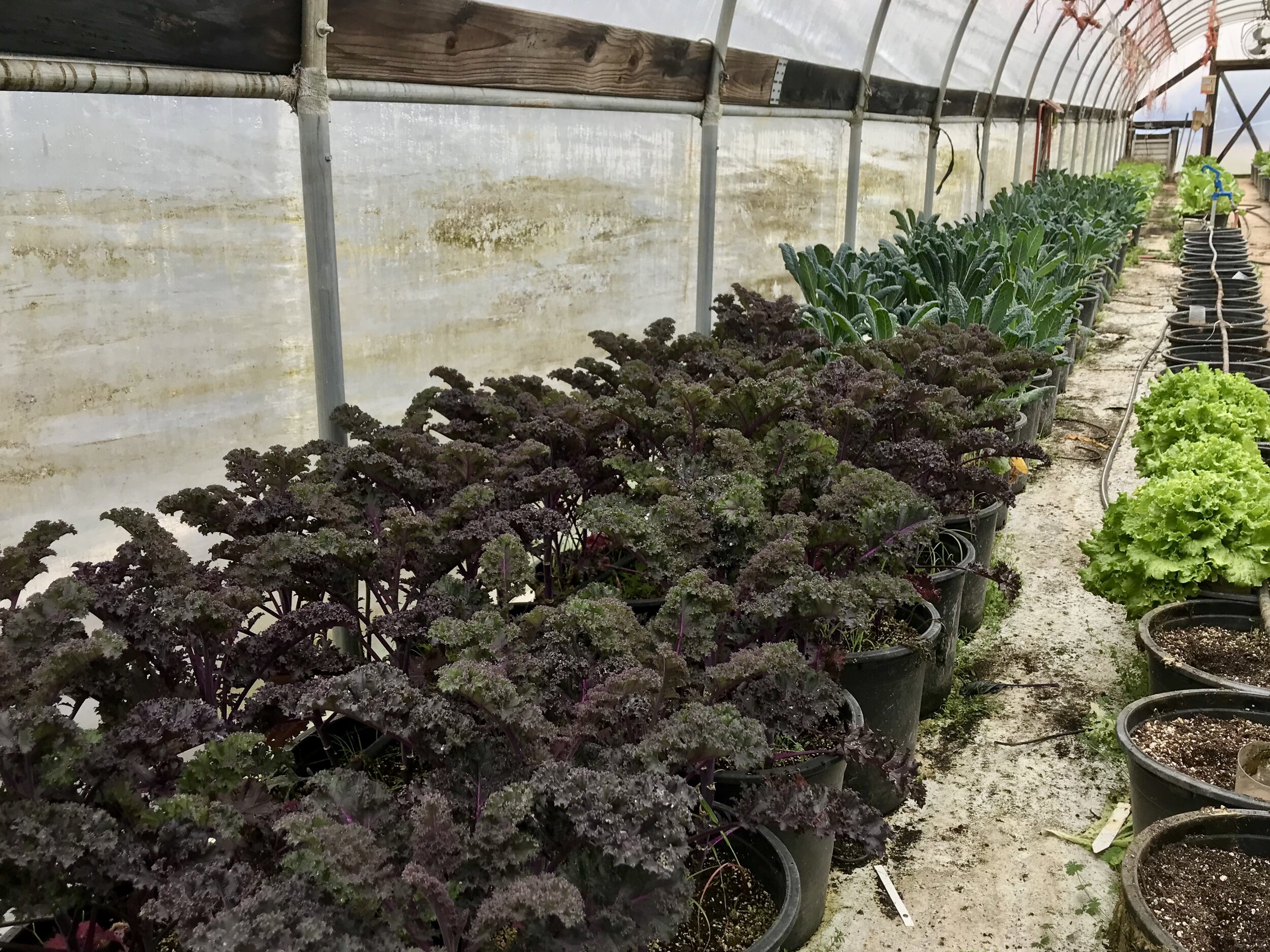 February 28 — Deadline To Sign Up for EQIP, Whole Farm Revenue Protection, CRP, and Other USDA Programs