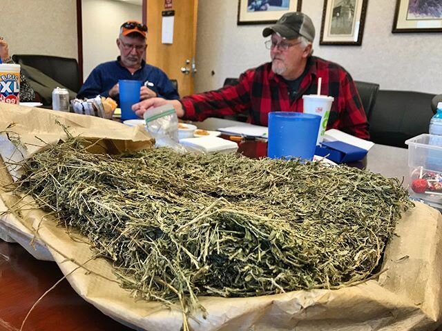 Talking about sericea lespedeza, hay, seed drills, cultipackers, all the rain we didn&rsquo;t get last year, all the rain we&rsquo;re getting right now, 2,4-db, tannins, sheep. And eating snack nuts. #lespedeza #hay #forage #southernsare