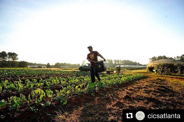 #Repost @cicsatlanta with @get_repost
・・・
🥬The Farmer Fund was created to support farmers in need. While the initial purpose was specific to natural disasters, in the traditional sense, we have seen over the past few days that a pandemic like COVID-